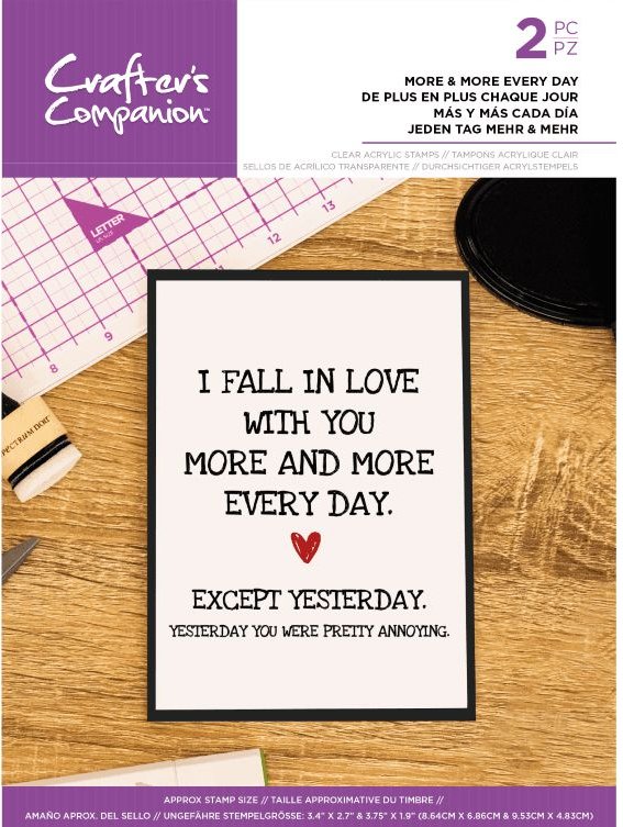Crafter's Companion Sentiment Tag Clear Acrylic Stamp - This Is for You