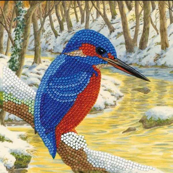 Nature's Garden Kingfisher 12x12 Paper Pad - Crafter's Companion