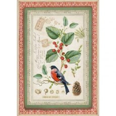 Stamperia A4 Rice Paper Winter Botanic Little Bird On Holly DFSA4326 5 For £9.99