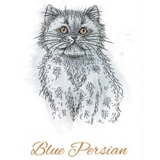 Hunkydory It's A Cat's Life Clear Stamp - Blue Persian