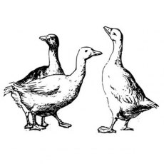 Peddlers Den Stamp â€“ Geese T1-006C