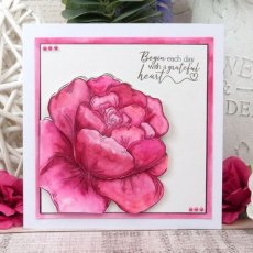 Hunkydory Peony Promise A6 Stamp Set