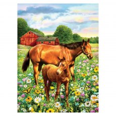 Royal & Langnickel Painting By Numbers Horses In Field A4 Art Kit