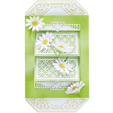 Spellbinders Daisy Delight Garden Shutters A2 Card Base Etched Dies by Becca Feeken S5-479