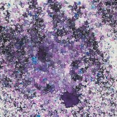 Cosmic Shimmer Pixie Burst Purple Orchid 25ml 4 For £12.99