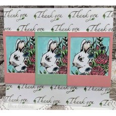 Creative Expressions Designer Boutique Rosy Whiskers 6 in x 4 in Stamp Set