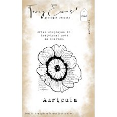 Tracy Evans Auricula (A7 stamp) TE2