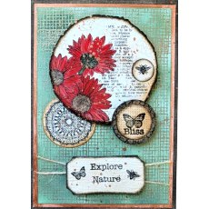 Elizabeth Craft Designs - Playful Textures Clear Stamp CS386