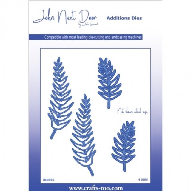 John Next Door Christmas Dies - Ferns (4pcs)