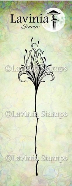 Lavinia Stamps Lavinia Stamps - Flower Divine 2 Stamp LAV902