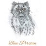 Hunkydory Hunkydory It's A Cat's Life Clear Stamp - Blue Persian