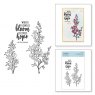 Spellbinders Spellbinders Fragrant Flowers Clear Stamps STP-033