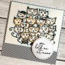 Picket Fence Studios Picket Fence Studios Litter of Cats Clear Stamps (ST-106)